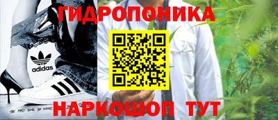 apvp Дмитров