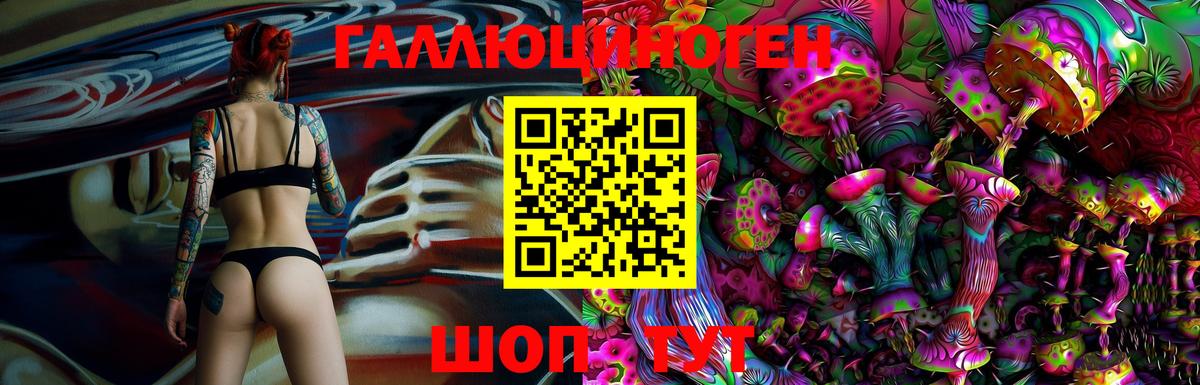 Галлюциногенные грибы прущие грибы  Псилоцибиновые грибы Magic Shrooms  цены   Светлоград  Вход с VPN 