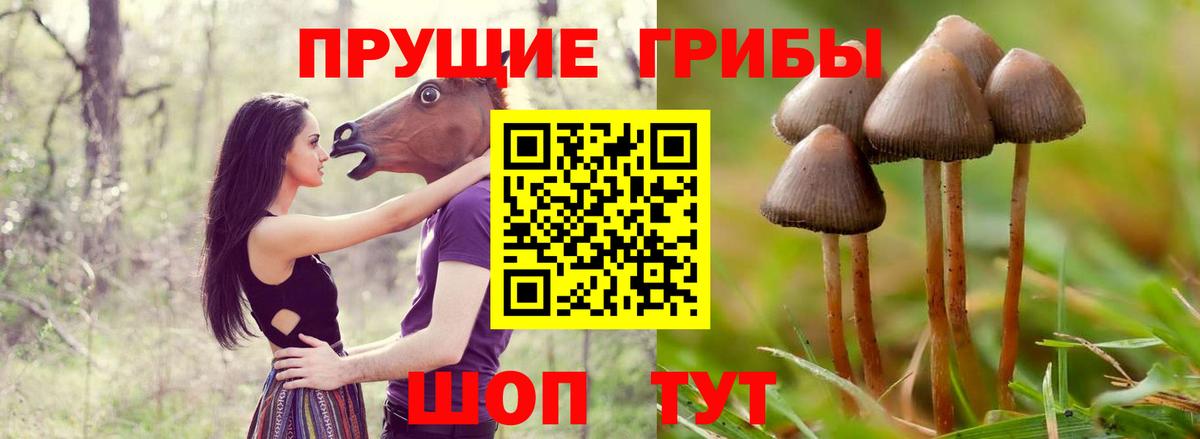 Псилоцибиновые грибы MAGIC MUSHROOMS Светлоград